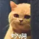yiliu的头像-投影工坊