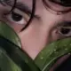 w576
