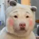 Kitkim