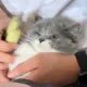 匿名