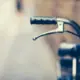phoenixfeng