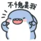solvager的头像-投影工坊