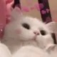 ♡