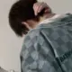 dom