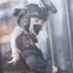 qq1356796015