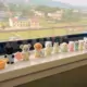stream2