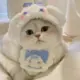 孤独小许