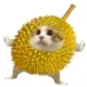 tuyiyun