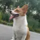 看世界
