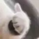 xiaozibiepao