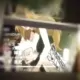 WhitespadeK