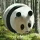 头像-方舟游戏