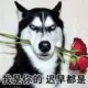 qwerqqq的头像-木叔脚本
