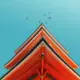 zzjun
