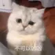 jjxyfzhy