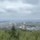 李华