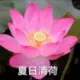 heqizheng的头像-投影工坊