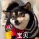 qq904036437的头像-天机阁
