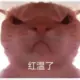 Th33333的头像-投影工坊
