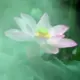 我们都是课改后的