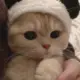 返回