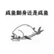 浑水摸鱼的头像-投影工坊
