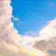 四格网络的头像-天机阁