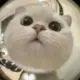 少年锦时