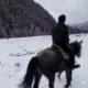 骑马的土豆