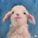 江桉的头像-投影工坊