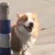 匿名