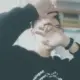 lingxiao