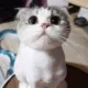 soul132222的头像-天机阁