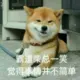 li1427788592