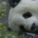 星星点灯