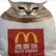 Meow_glider