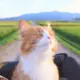 ㅤ