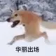 2518402503hyh的头像-投影工坊