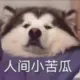 qiyue5555的头像-投影工坊