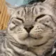 okokok