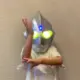 秋意浓