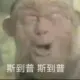 buzhid的头像-投影工坊