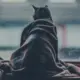 标准规范