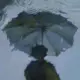 zhsdn的头像-天机阁