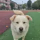 2501763867COM的头像-投影工坊