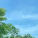 执笔画倾颜
