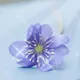 ゾ銱ル鎯筜﹠