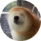 彬红茶日记