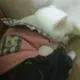 qtf842265695的头像-天机阁