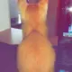 中药泡澡